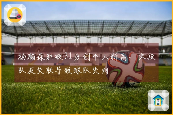 杨瀚森狂砍31分创个人新高，末段队友失联导致球队失利