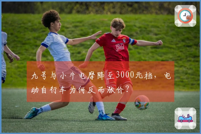 九号与小牛电摩降至3000元档，电动自行车为何反而涨价？